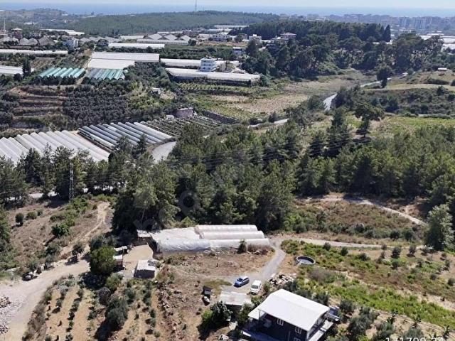 Bilaller, Alanya içerisinde satılık Arsa