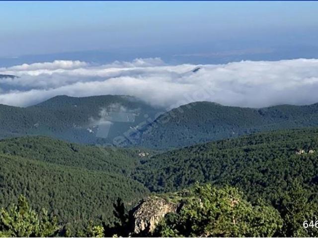 Demirli, Odunpazarı içerisinde satılık Arsa