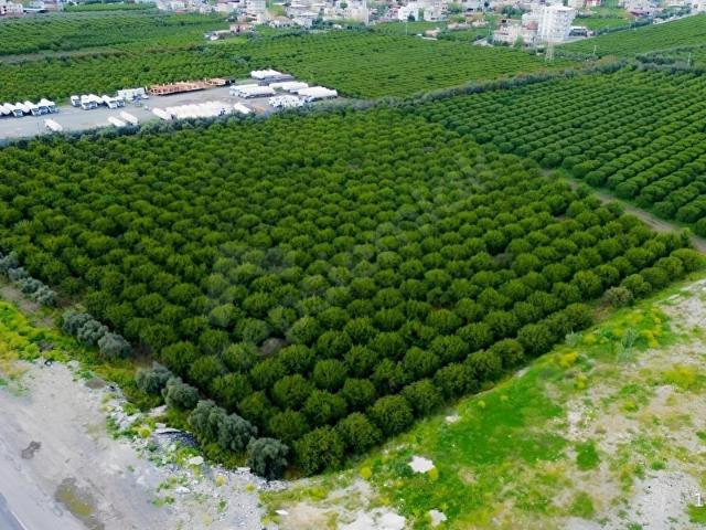Erzin, Hatay içerisinde satılık mülk