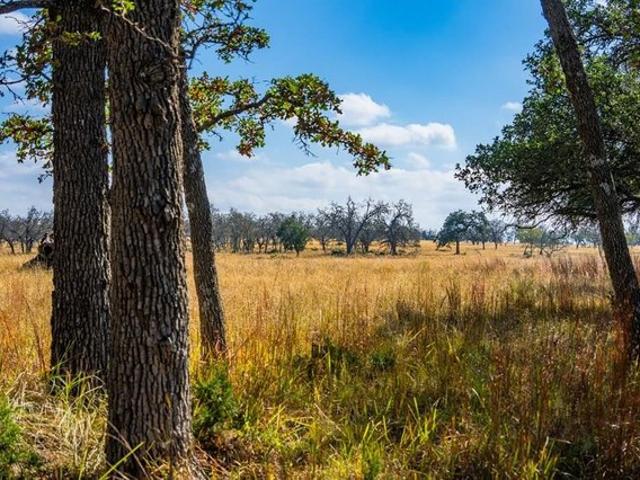 Farm for sale in Doss, Texas