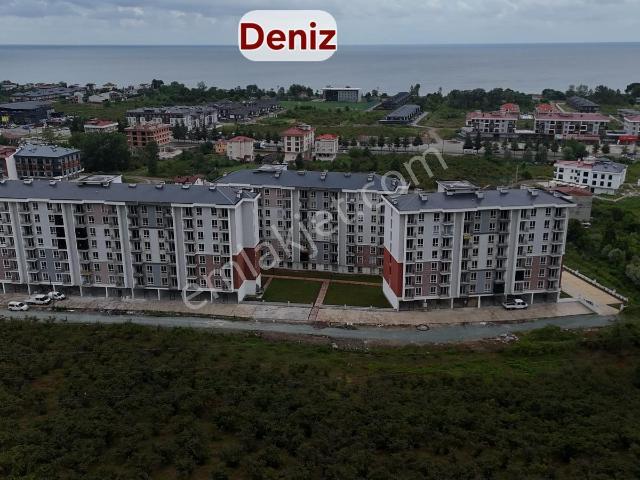 Ordu içerisinde kiralık mülk