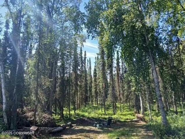 Land for sale in Soldotna