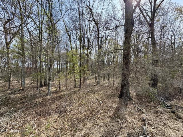 Land for sale in Sunflower, Mississippi