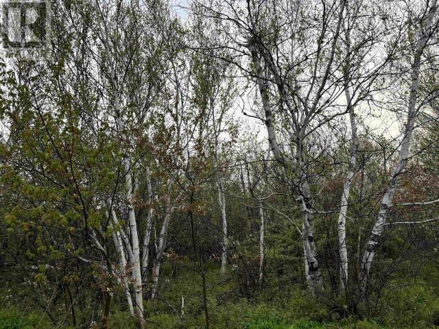 Land for sale in Glace Bay, Nova Scotia