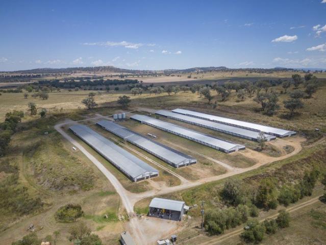 Property for sale in Attunga, New South Wales