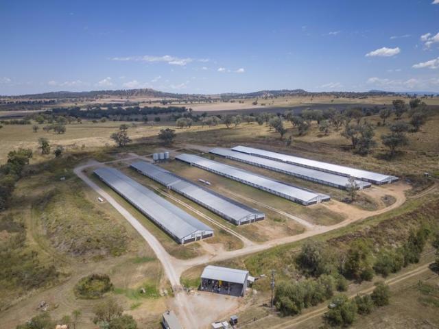 Property for sale in Attunga, New South Wales