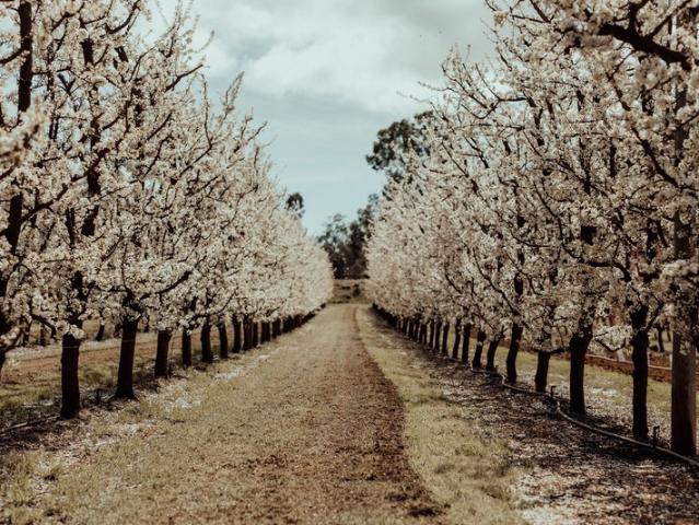 Property for sale in Roleystone, Western Australia