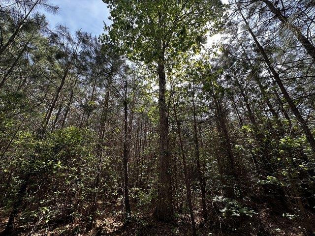 Land for sale in Virginia