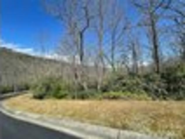 Land for sale in Horse Shoe, North Carolina