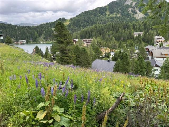 Grundstück kaufen in Reichenau, Kärnten