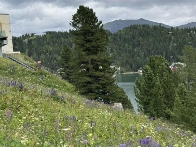 Gewerbe kaufen in Reichenau, Kärnten