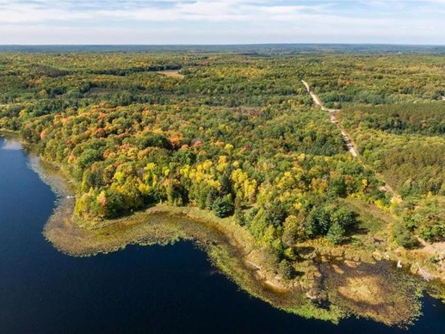 Land for sale in Walker, Minnesota