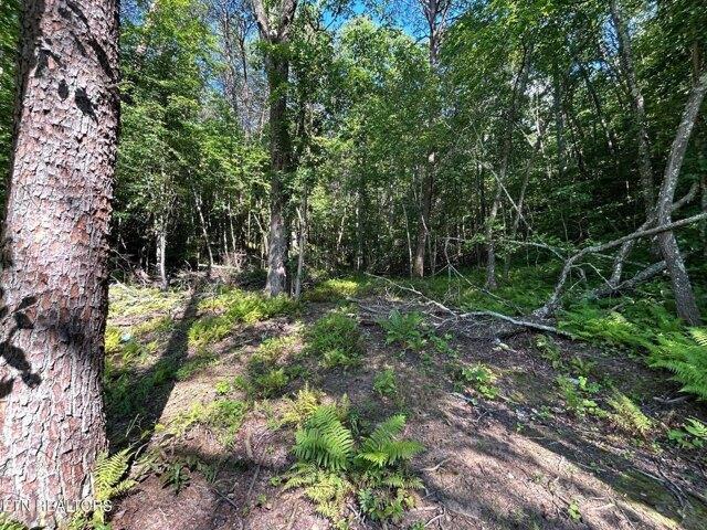 Land for sale in Tennessee