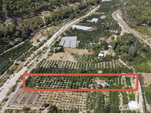 Boğaz, Finike içerisinde satılık mülk