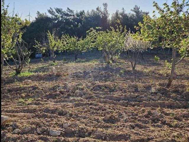 Kemalpaşa, İzmir içerisinde satılık Arsa