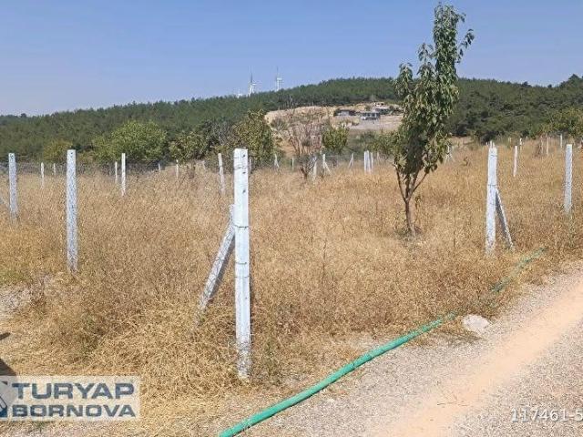 Kemalpaşa, İzmir içerisinde satılık mülk
