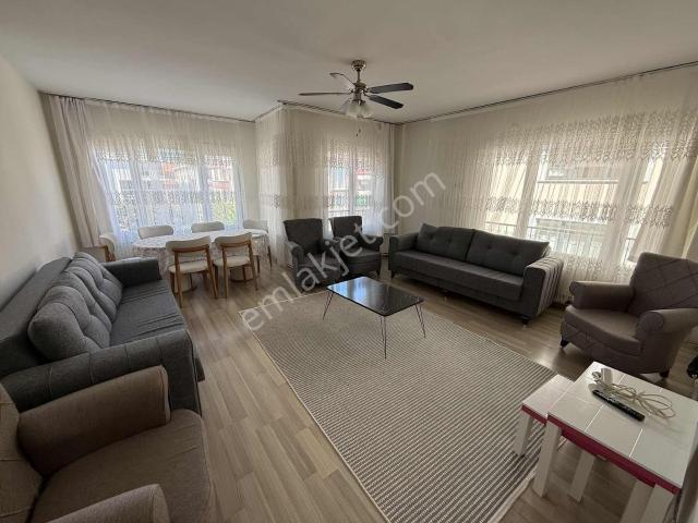 Yalova Merkez, Yalova içerisinde kiralık mülk