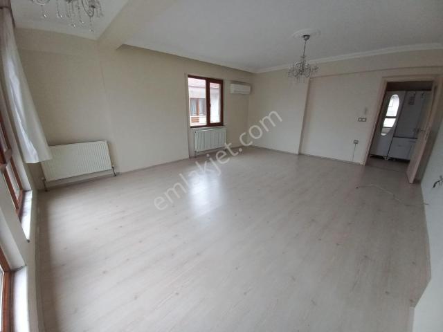 Yalova Merkez, Yalova içerisinde kiralık mülk