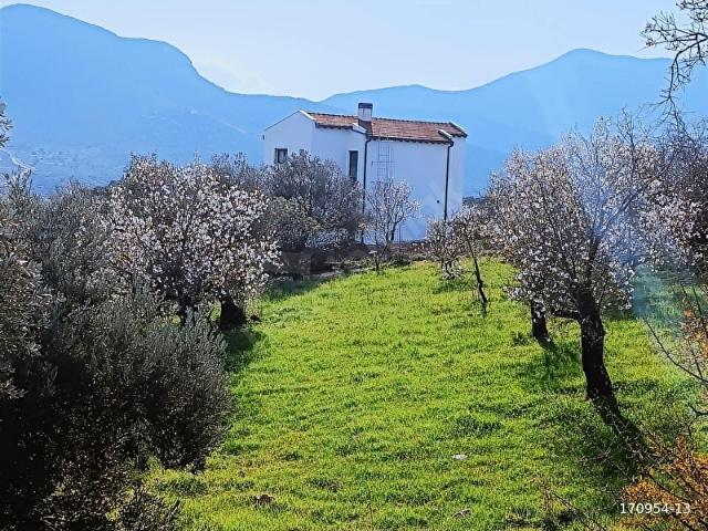 Yazı, Datça içerisinde satılık Arsa