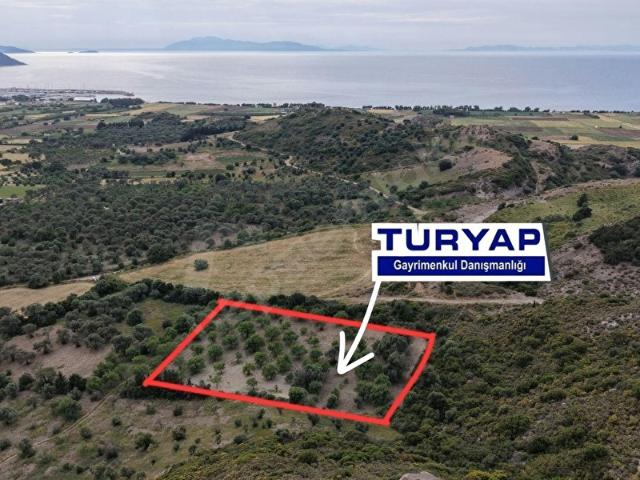 Datça, Muğla içerisinde satılık Arsa