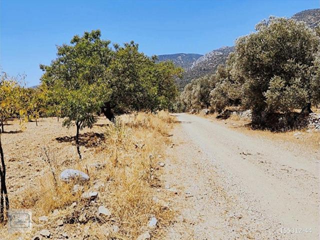 Datça, Muğla içerisinde satılık mülk