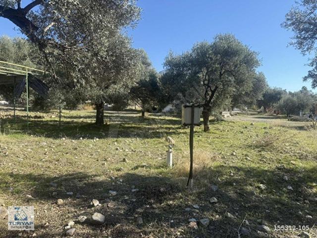 Datça, Muğla içerisinde satılık Arsa