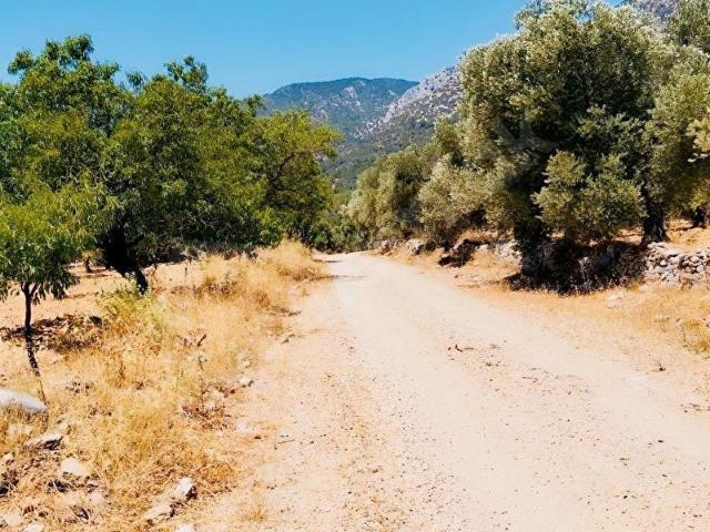 Yaka, Datça içerisinde satılık mülk