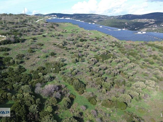 Foça, İzmir içerisinde satılık Arsa