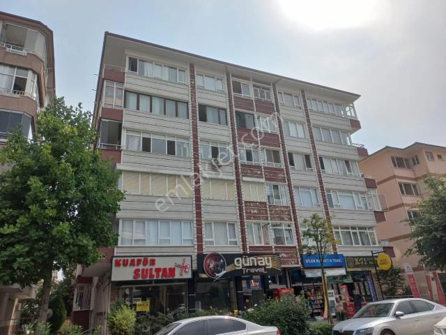 Yalova Merkez, Yalova içerisinde kiralık mülk