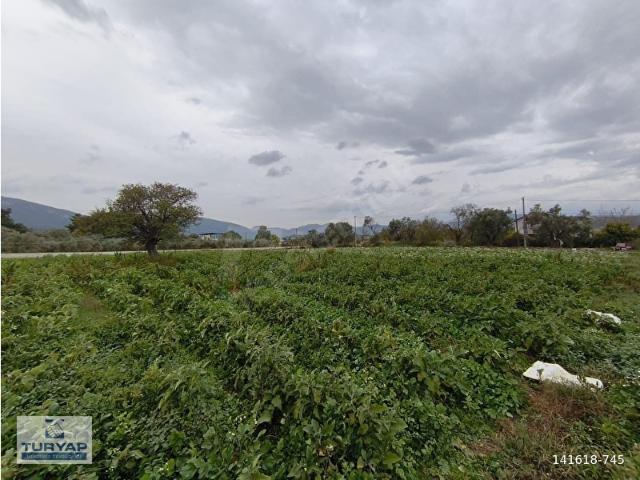 Menderes, İzmir içerisinde satılık Arsa