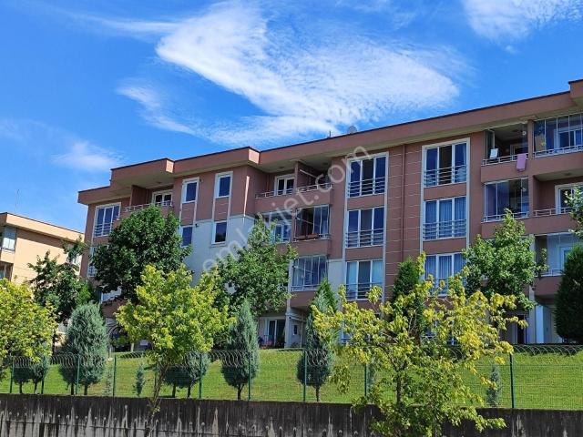 Başiskele, Kocaeli içerisinde kiralık mülk