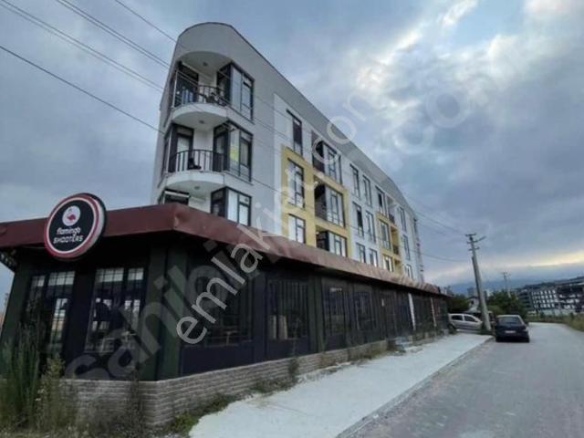 Düzce Merkez, Düzce içerisinde satılık mülk