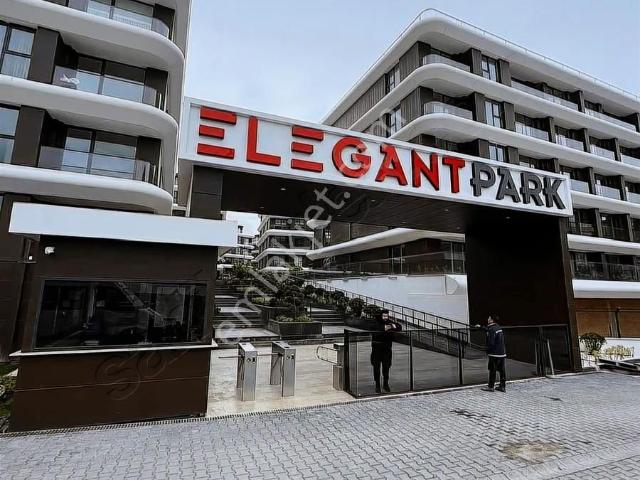 Yalova Merkez, Yalova içerisinde kiralık mülk