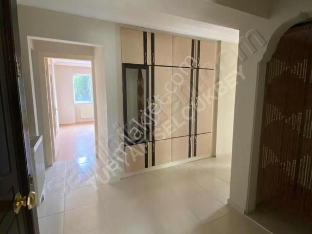 Denizli Merkez, Denizli içerisinde kiralık mülk