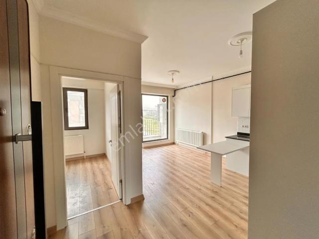 Yalova Merkez, Yalova içerisinde kiralık mülk