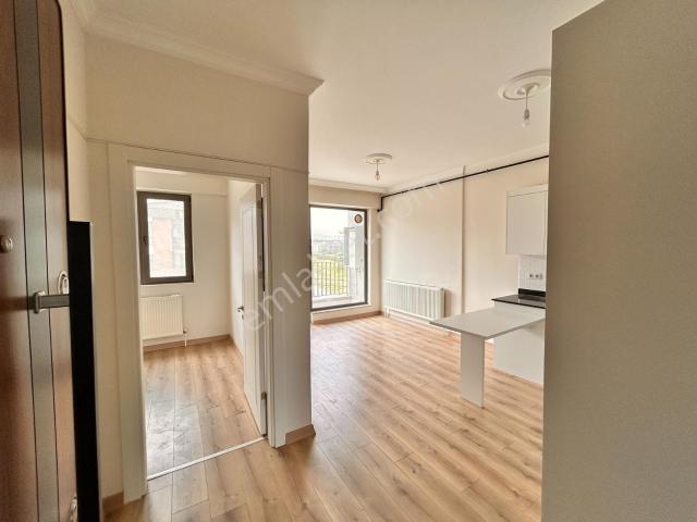 Yalova Merkez, Yalova içerisinde kiralık mülk