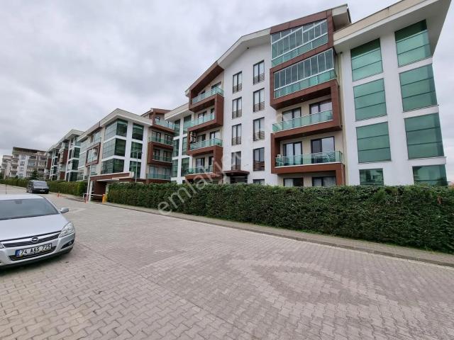 Yalova Merkez, Yalova içerisinde kiralık mülk