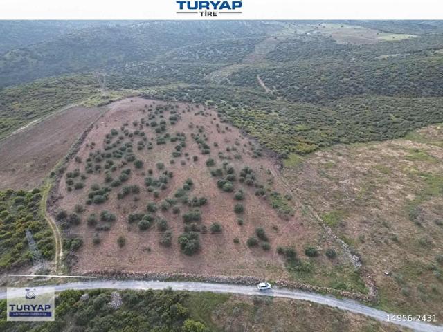Tire, İzmir içerisinde satılık mülk