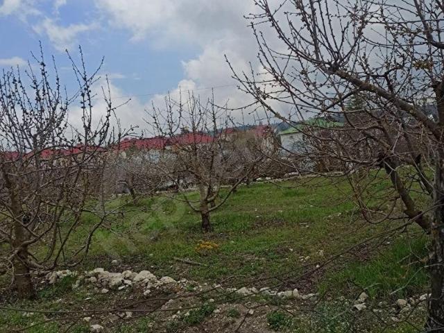 Erdemli, Mersin içerisinde satılık Arsa