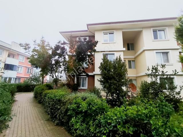 Paşakent, Yalova Merkez içerisinde kiralık mülk