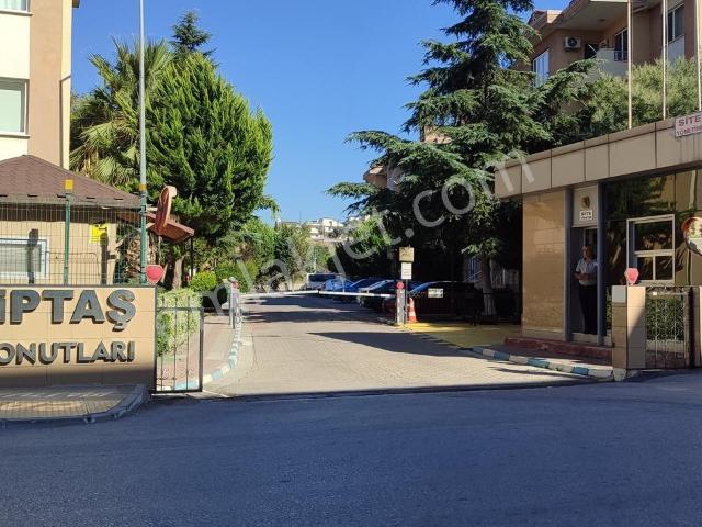 Yalova Merkez, Yalova içerisinde kiralık mülk