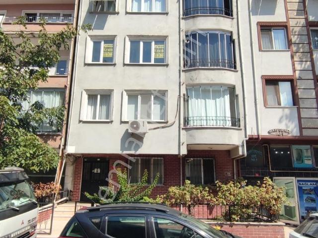 Yalova Merkez, Yalova içerisinde kiralık mülk