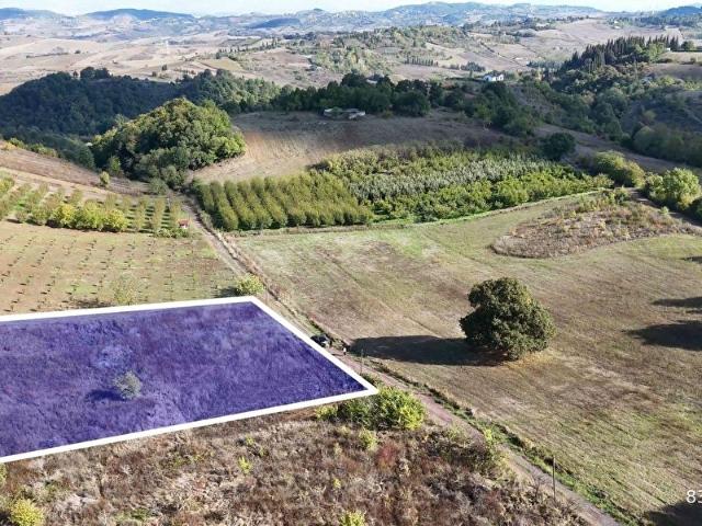 Çiftlikköy, Yalova içerisinde satılık Arsa