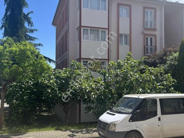 Yalova Merkez, Yalova içerisinde kiralık mülk