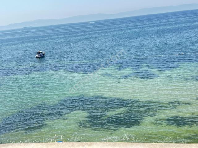 Darica, Kocaeli içerisinde satılık Daire