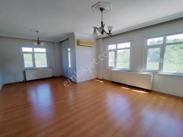 Yalova Merkez, Yalova içerisinde kiralık mülk