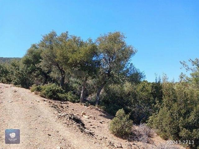 Bayindir, İzmir içerisinde satılık mülk