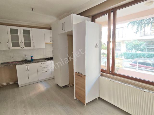 Yalova Merkez, Yalova içerisinde kiralık mülk