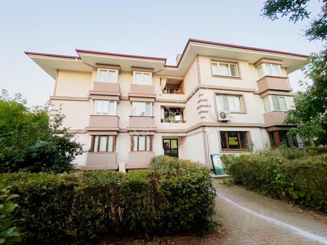 Yalova Merkez, Yalova içerisinde kiralık mülk