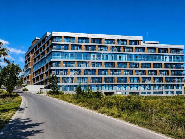 Yalova Merkez, Yalova içerisinde kiralık mülk